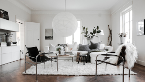 minimalist-living-room-decor